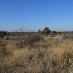 View East from Degree Confluence 20S22E.