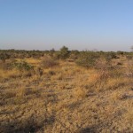 View of degree confluence 20S22E (centre of shot) facing roughly East.