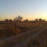 Road to Gcwihaba crossing veterinary fence.